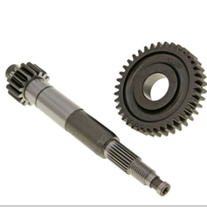gear shaft