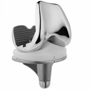 artificial knee joint